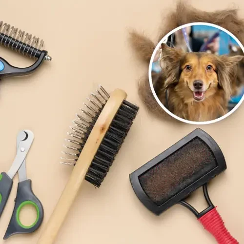 Pet Grooming Products